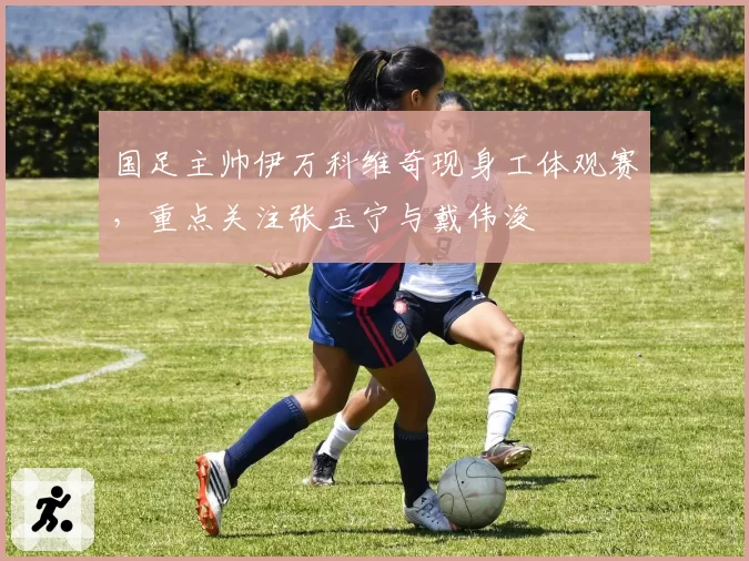 国足主帅伊万科维奇现身工体观赛,重点关注张玉宁与戴伟浚